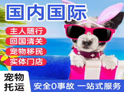丽江三义机场托运国际宠物托运 【国